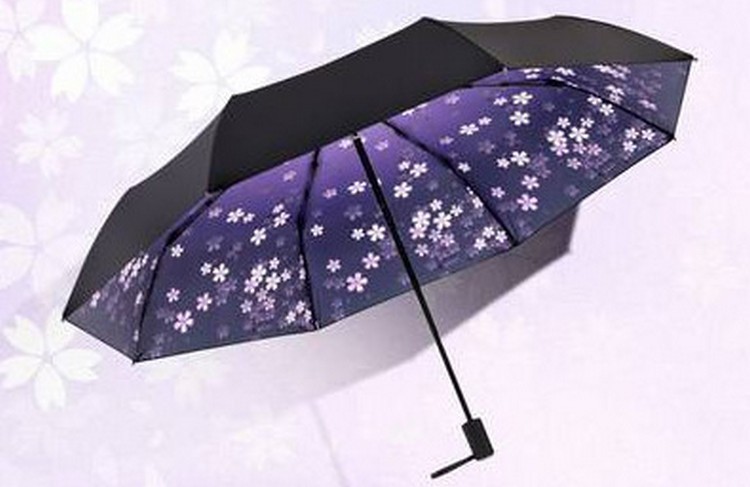 菲诺雨伞