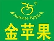 香港品牌金蘋果減肥，綠色健康減肥美體連鎖品牌