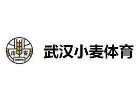 武汉小麦体育发展有限公司