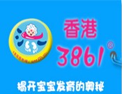 香港3861实业有限公司